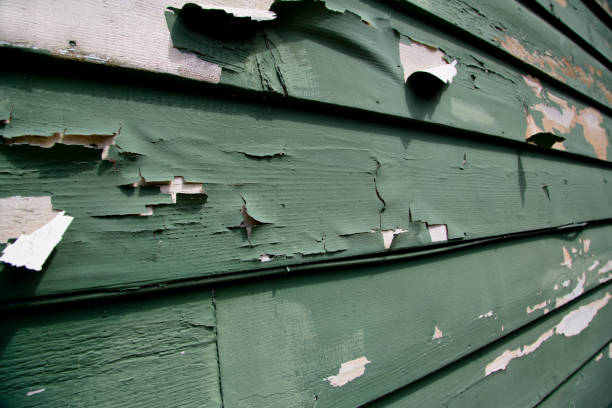 Grapevine, TX Junk Removal Company
